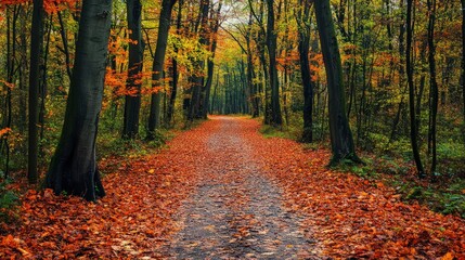 A peaceful forest with a path covered in fallen autumn leaves