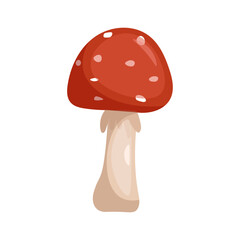 Fly agaric, vector illustration of a mushroom.