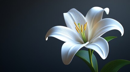 A white flower with a yellow center is the main focus of the image