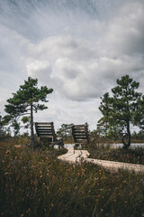 Lounger for relaxing on the Baltic swamp in front of the pond
