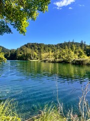 Fototapeta premium Plitvice Lakes in Croatia, a breathtaking natural wonder, transforms into a lush paradise during summer. Vibrant green forests, cascading waterfalls, and crystal-clear lakes create a serene, enchantin