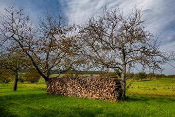Brennholz lagert auf einer Streuobstwiese © focus finder
