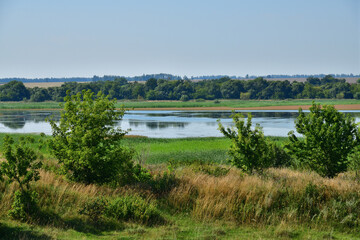 Summer countryside landscape with trees and pond in Russia