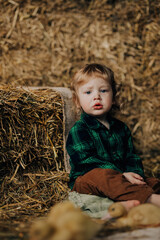 A little blond boy is sitting in the hay with ducks