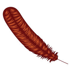 Single brown turkey feather, realistic design, Vector