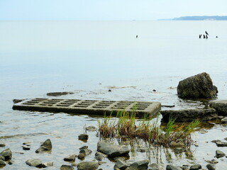 Old road slabs and construction debris rot on the beach. Harbor relics reveal the contrast between...