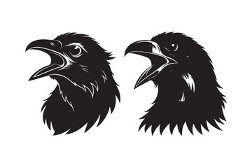 Raven silhouette  vector illustration, Raven silhouette  vector
