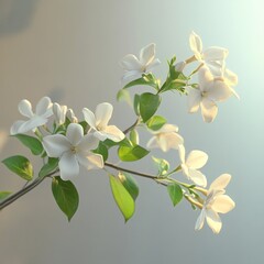 Obraz premium White jasmine's delicate spring flowers bloom on its branches