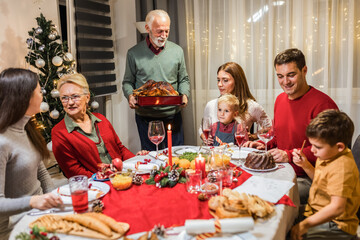 Tasty turkey on the dining table. Family Christmas dinner.