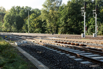 Zwei Bahngleise laufen laufen parallel und führen durch eine Schneise im Wald.