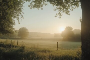 A misty sunrise over a field with trees and a fence post