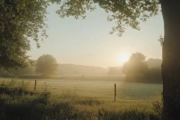 A misty sunrise over a field with trees and a fence post