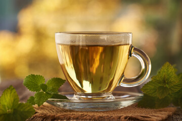 A cup of herbal tea with fresh melissa or lemon balm plan