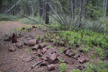 A pile of old rusted tin cans lays discarded in an abandoned Gold Rush mining camp along Miles...
