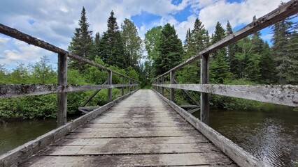 Obraz premium Serene Wooden Foot and ATV bridge Over Tranquil Forest Stream with a cloudy blue sky.