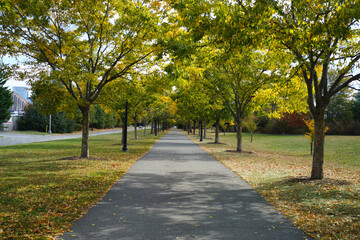 Fall at Liberty State Park in Jersey City.