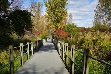 Fall at Liberty State Park in Jersey City.