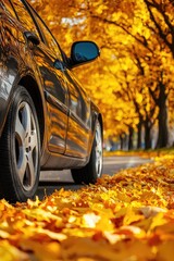 the car is driving on the autumn road. Selective focus