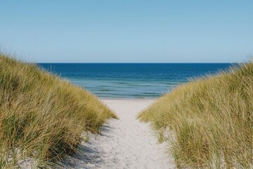 A Path Through Grassy Dunes Leading to a Blue Ocean