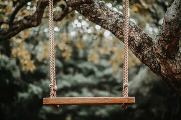 A Simple Wooden Swing Suspended From a Tree Branch