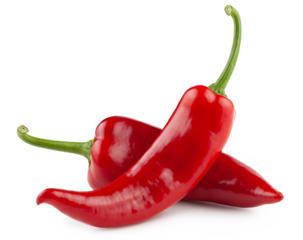 Red peppers on white background
