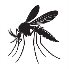 Mosquitoes silhouette on white background
