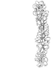 Jasmine flower garland floral pattern on clear background