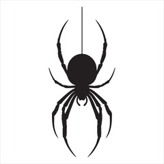 Spider silhouette on white background