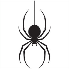 Spider silhouette on white background
