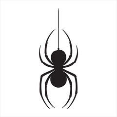 Spider silhouette on white background
