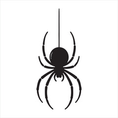 Spider silhouette on white background

