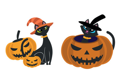 Cute Halloween Black Cat in a Witch Costume Perched on a Pumpkin Illustration