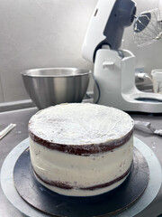 Pastry, baking and cooking concept - woman making cake in kitchen at home. Process of making custom cake without cake