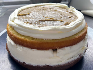 Pastry, baking and cooking concept - woman making cake in kitchen at home. Process of making custom cake without cake