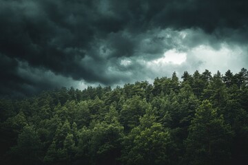 Obraz premium Dark Storm Clouds Over a Dense Forest