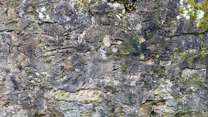 Textured Stone Wall With Moss and Lichen at a Historical Site in Nature