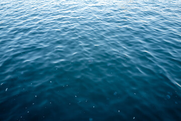 Blue water surface with visible jellyfish in Barcelona Harbour