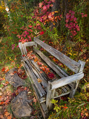 Vivid color real high resolution photo of a weathered wood bench with red and orange autumn leaves in a serene forest. Ideal for nature wall art, editorial, or nature backgrounds.