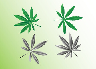 cannabis marijuana vector for logo background icon web tattoo. vector and illustration.