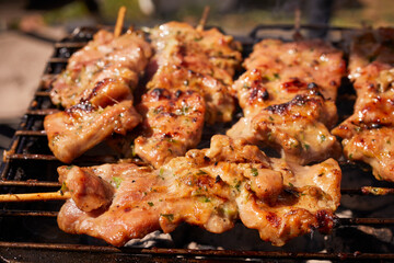 Thai chicken skewers called Gai Yang at a festival in Manassas, Virginia, USA