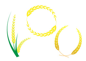 wheat icon set vector and illustration