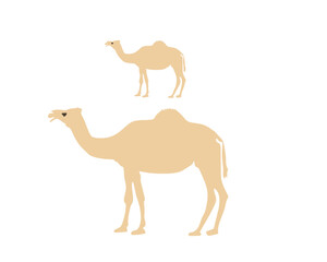 Camel Desert Stock Vectors and Vector Art.