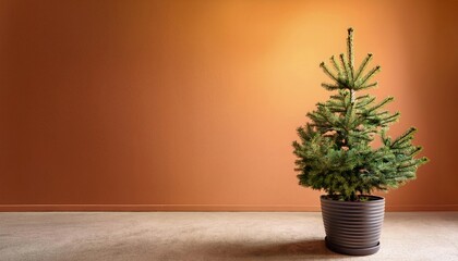 Fototapeta premium A minimalist Christmas scene with a small potted evergreen tree in the foreground.