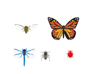 Vectors are insects, ticks, rodents.