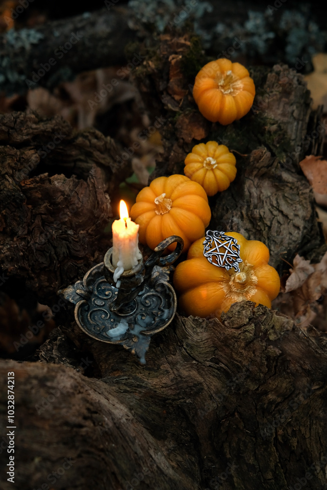 Wall mural decorative pumpkins and burning candle in autumn forest, dark abstract nature backdrop. Autumn background. Witchcraft. Magic. esoteric spiritual ritual for mabon, samhain, halloween holidays.