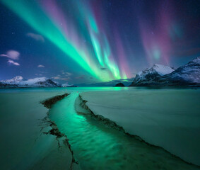 Fototapeta premium Aurora borealis, snowy mountains, sandy beach, creek, starry sky at winter night. Lofoten islands, Norway. Bright Northern Lights. Sky with polar lights. Landscape with aurora, sea, stream, rocks