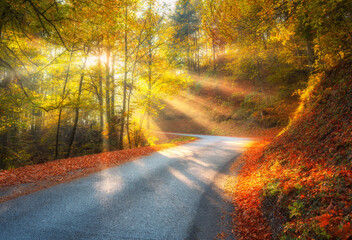 Obraz premium Road in orange forest in fog and sunbeams at sunrise in golden autumn. Dolomites, Italy. Beautiful mountain road, tress, sun rays, red and orange leaves. Empty road through the woods in fall