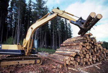 Front end laoder stacking logs on a forestry coupe