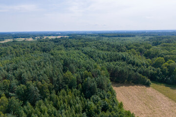 Aerial view of a lush green forest and agricultural land under a bright sky. Nature's beauty and serenity captured in this stunning landscape.