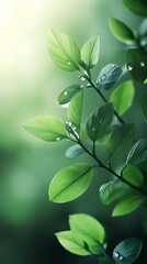 Nature inspired wallpaper with green leaves and elegant soft blurred background